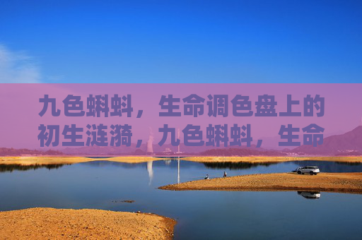 九色蝌蚪,生命调色盘上的初生涟漪,九色蝌蚪,生命调色盘上的初生涟漪