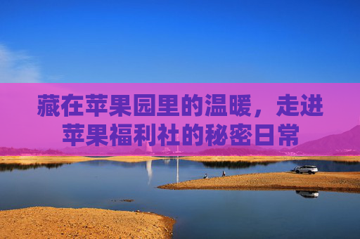 藏在苹果园里的温暖,走进苹果福利社的秘密日常