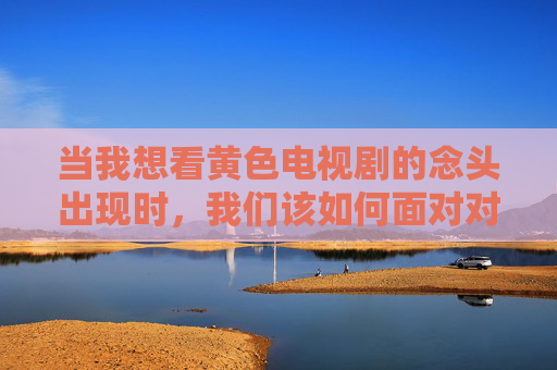 当我想看黄色电视剧的念头出现时,我们该如何面对对性的好奇?当黄色电视剧念头出现时,如何面对对性的好奇?
