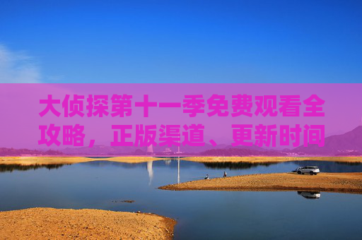 大侦探第十一季免费观看全攻略,正版渠道、更新时间与精彩看点解析
