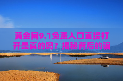 黄金网9.1免费入口直接打开是真的吗？揭秘背后的骗局与风险，黄金网9.1免费入口，骗局与风险揭秘