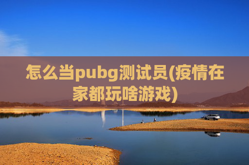 怎么当pubg测试员(疫情在家都玩啥游戏)