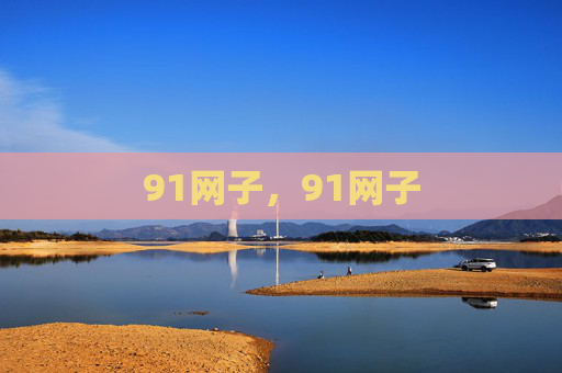 91网子,91网子