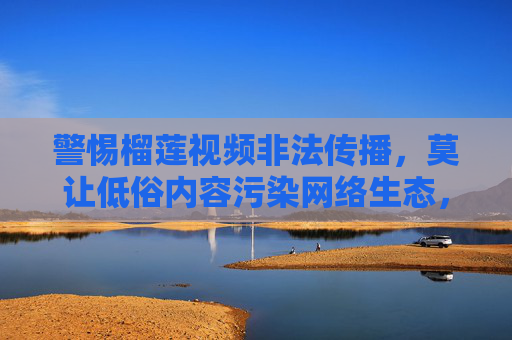 警惕榴莲视频非法传播，莫让低俗内容污染网络生态，警惕榴莲视频非法传播，莫让低俗内容污染网络生态