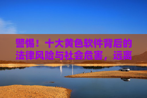 警惕!十大黄色软件背后的法律风险与社会危害,远离违法信息,守护清朗网络,警惕十大黄色软件,法律风险与社会危害,远离违法信息守护清朗网络