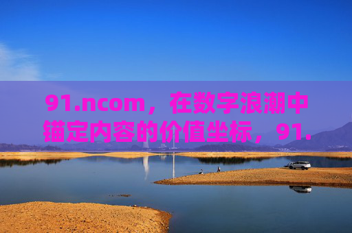 91.ncom,在数字浪潮中锚定内容的价值坐标,91.ncom,数字浪潮中锚定内容价值坐标