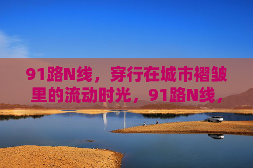 91路N线,穿行在城市褶皱里的流动时光,91路N线,城市褶皱里的流动时光