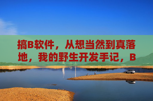 搞B软件,从想当然到真落地,我的野生开发手记,B软件野生开发手记,从想当然到落地