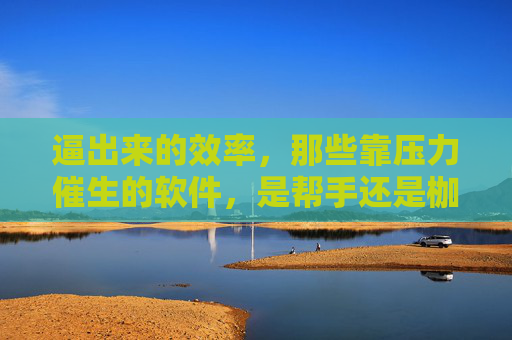 逼出来的效率,那些靠压力催生的软件,是帮手还是枷锁?压力催生的软件,效率帮手还是效率枷锁?