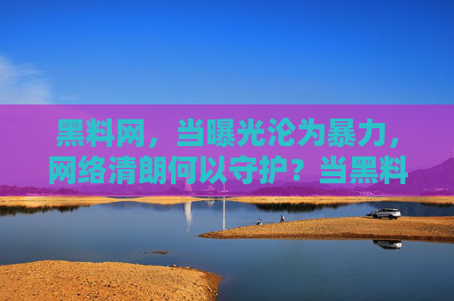 黑料网,当曝光沦为暴力,网络清朗何以守护?当黑料曝光沦为暴力,网络清朗如何守护?