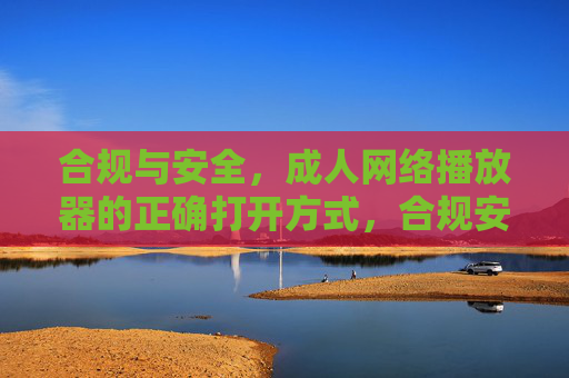 合规与安全,成人网络播放器的正确打开方式,合规安全,成人网络播放器的正确打开方式