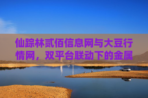 仙踪林贰佰信息网与大豆行情网,双平台联动下的金属与农产品市场信息生态,仙踪林贰佰信息网与大豆行情网双平台联动下的金属与农产品市场信息生态