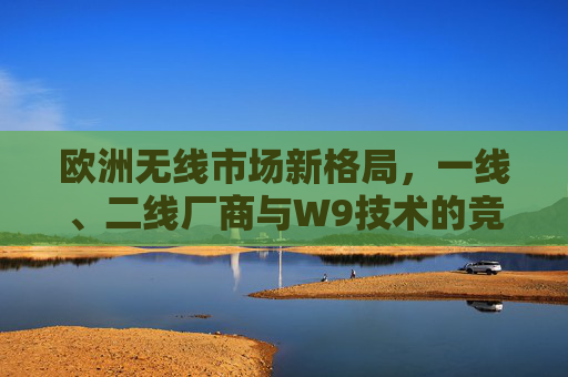 欧洲无线市场新格局，一线、二线厂商与W9技术的竞合之路，一线二线厂商与W9技术，欧洲无线市场新格局的竞合之路