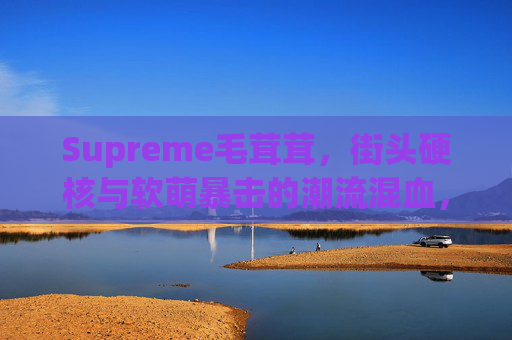 Supreme毛茸茸,街头硬核与软萌暴击的潮流混血,Supreme毛茸茸,街头硬核与软萌的潮流混血
