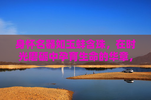 身怀名器如玉蚌含珠,在时光磨砺中孕育生命的华章,玉蚌含珠,时光磨砺育华章