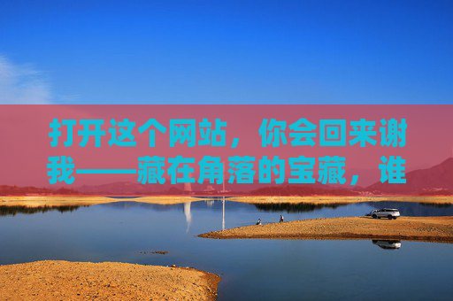 打开这个网站,你会回来谢我——藏在角落的宝藏,谁用谁知道,宝藏网站推荐,谁用谁知道