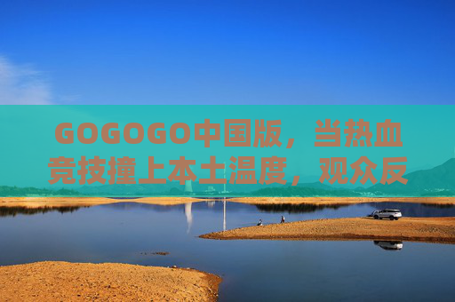 GOGOGO中国版,当热血竞技撞上本土温度,观众反馈里的真实共鸣,GOGOGO中国版,热血竞技撞本土温度,观众反馈真实共鸣