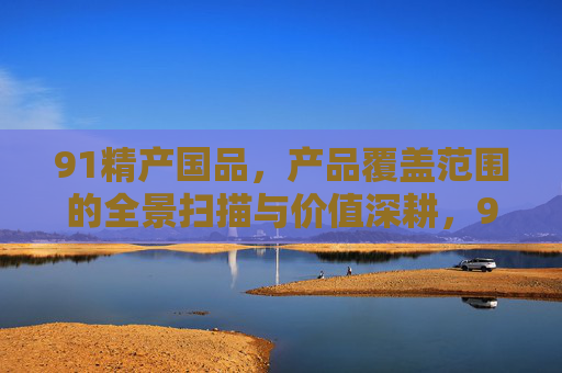 91精产国品,产品覆盖范围的全景扫描与价值深耕,91精产国品,产品全景扫描与价值深耕