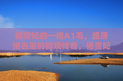 杨贵妃的一根A1毛,盛唐绝色里的微观传奇,杨贵妃A1毛,盛唐绝色的微观传奇