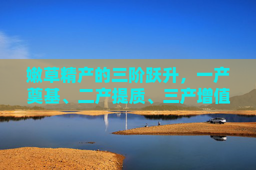 嫩草精产的三阶跃升,一产奠基、二产提质、三产增值的产业密码,嫩草精产三阶跃升,一产奠基、二产提质、三产增值的产业密码