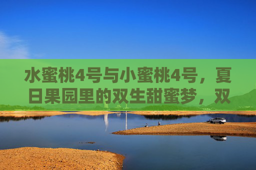 水蜜桃4号与小蜜桃4号,夏日果园里的双生甜蜜梦,双生蜜桃夏日甜梦,水蜜桃4号与小蜜桃4号