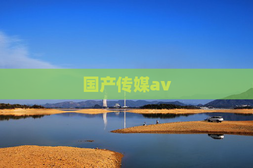 国产传媒av