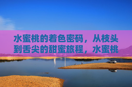 水蜜桃的着色密码，从枝头到舌尖的甜蜜旅程，水蜜桃着色密码，从枝头到舌尖的甜蜜旅程