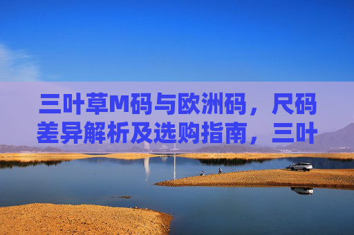 三叶草M码与欧洲码，尺码差异解析及选购指南，三叶草M码与欧洲码尺码差异解析及选购指南