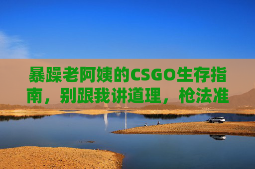 暴躁老阿姨的CSGO生存指南,别跟我讲道理,枪法准才是硬道理!暴躁老阿姨的CSGO生存指南,枪法硬道理,不讲理!