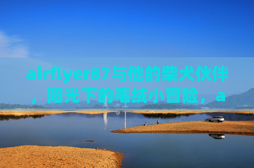 airflyer87与他的柴犬伙伴,阳光下的毛绒小冒险,airflyer87与柴犬的阳光毛绒小冒险