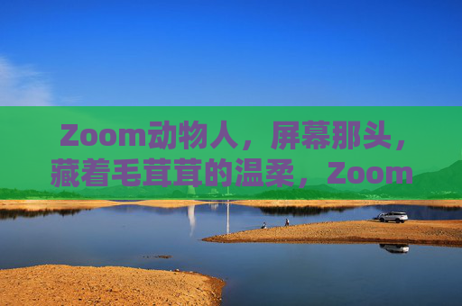 Zoom动物人，屏幕那头，藏着毛茸茸的温柔，Zoom动物人，屏幕那头的毛茸茸温柔