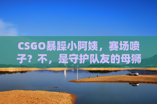 CSGO暴躁小阿姨，赛场喷子？不，是守护队友的母狮！CSGO暴躁小阿姨，赛场喷子？不，是守护队友的母狮！