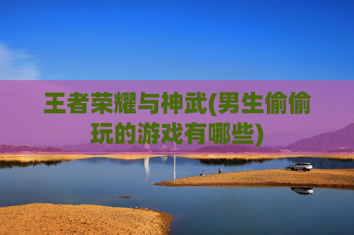 王者荣耀与神武(男生偷偷玩的游戏有哪些)