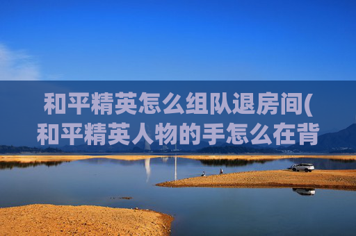 和平精英怎么组队退房间(和平精英人物的手怎么在背后)