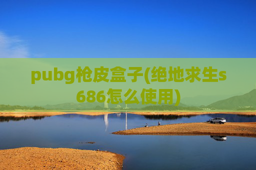 pubg枪皮盒子(绝地求生s686怎么使用)