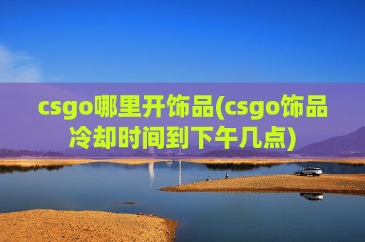 csgo哪里开饰品(csgo饰品冷却时间到下午几点)