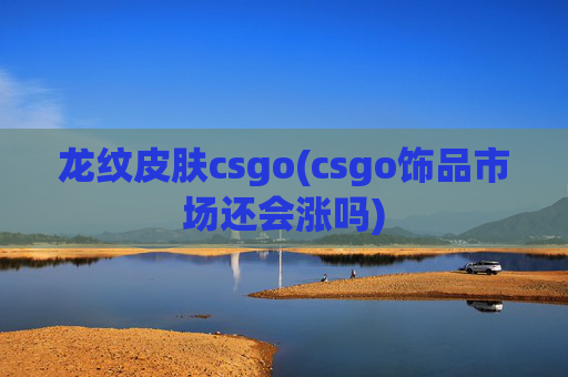 龙纹皮肤csgo(csgo饰品市场还会涨吗)