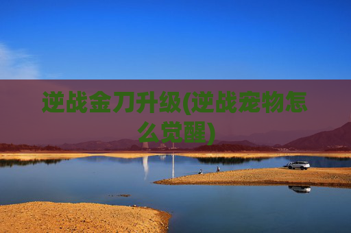 逆战金刀升级(逆战宠物怎么觉醒)