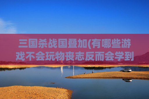 三国杀战国叠加(有哪些游戏不会玩物丧志反而会学到东西)
