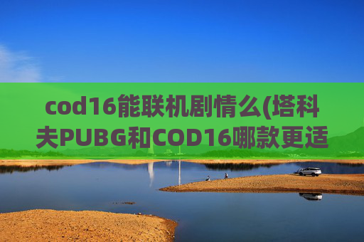 cod16能联机剧情么(塔科夫PUBG和COD16哪款更适合中国玩家)