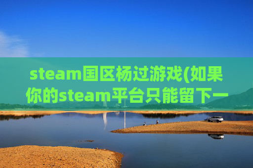 steam国区杨过游戏(如果你的steam平台只能留下一款游戏)