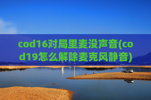 cod16对局里麦没声音(cod19怎么解除麦克风静音)