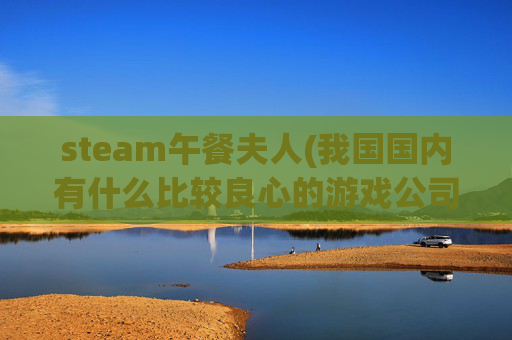 steam午餐夫人(我国国内有什么比较良心的游戏公司吗)