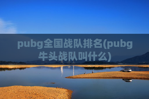 pubg全国战队排名(pubg牛头战队叫什么)