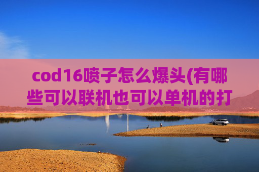 cod16喷子怎么爆头(有哪些可以联机也可以单机的打僵尸的游戏值得推荐)