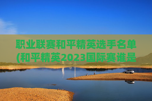 职业联赛和平精英选手名单(和平精英2023国际赛谁是冠军)