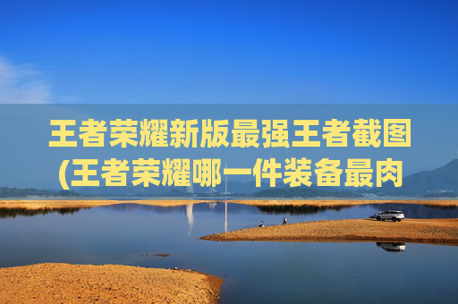 王者荣耀新版最强王者截图(王者荣耀哪一件装备最肉)