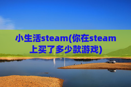 小生活steam(你在steam上买了多少款游戏)