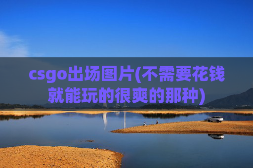 csgo出场图片(不需要花钱就能玩的很爽的那种)