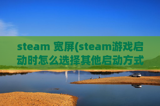 steam 宽屏(steam游戏启动时怎么选择其他启动方式)